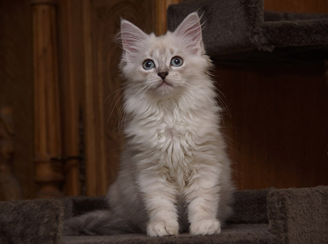 Sally am 3.8.2014